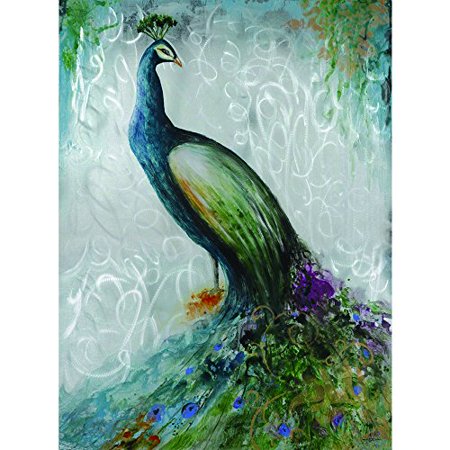 Yosemite Home Decor DCE226 Confident Peacock Wall Art - Walmart.com