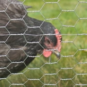 Expert Gardener Galvanized Steel Gray Poultry Netting, 25'L x 48"H