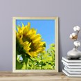 thumbnail image 2 of Designs ByLITA Chasing The Sun Floral, 8 x 10 Wooden Wall Print Inspirational (Framed) | Beautiful Flowers | Stylish Modern Decoration For The Home and Office, 2 of 3