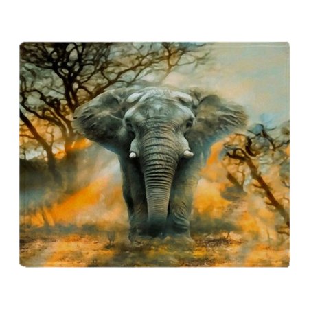 CafePress - Elephant Sunrise - Soft Fleece Throw Blanket ...