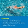 thumbnail image 4 of Incrementador de alcalinidad para piscina In The Swim 22,5 kg de sodio, 4 of 7