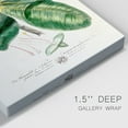 thumbnail image 3 of Imperial Tropical Botanical I Premium Gallery Wrapped Canvas - Ready to Hang, 3 of 9