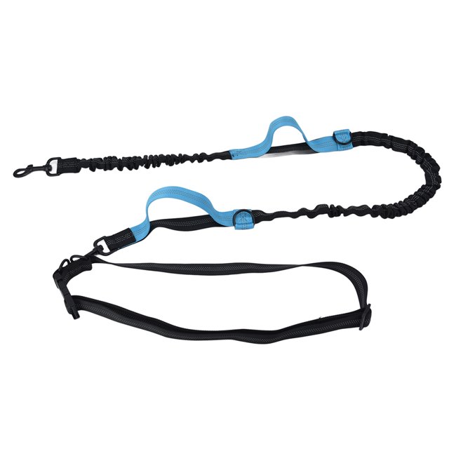 Laisse pour Animaux de Compagnie Rétractable Portable Réglable Corde de Traction pour Chiens pour Animaux de Compagnie Bleu