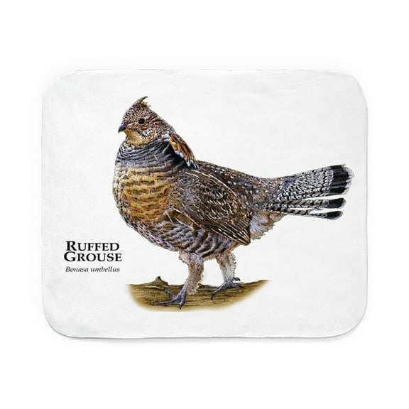 CafePress - Ruffed Grouse - Sherpa Fleece Throw Blanket 60" x 50"