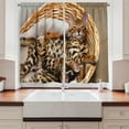 thumbnail image 2 of Ambesonne Kitten Kitchen Curtains, Bengal Cats in Basket, 55"x39", Brown Pale Brown Beige, 2 of 3
