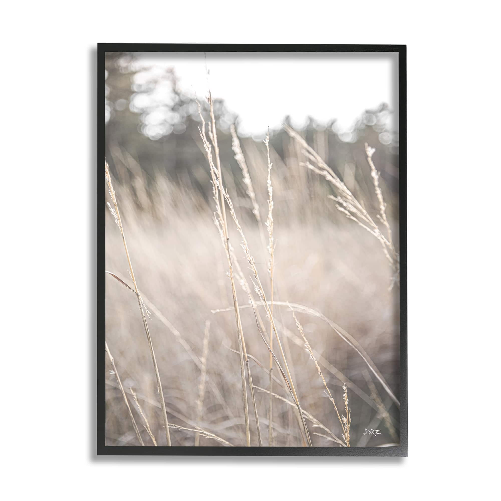 Stupell Industries Warm Rural Field Tall Grass Countryside Scenery Framed Wall Art, 16 x 20, Design by Donnie Quillen