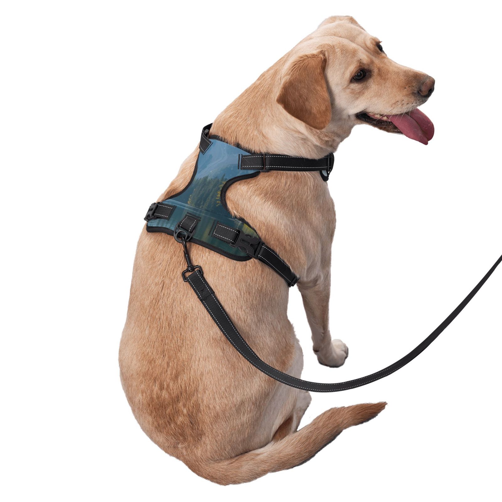 Vsdgher Majestic Deer Mountain Lake Dog Harness, No-Pull Pet Harness, Dog Vest, Pet Vest for Small to Large Dogs-Medium