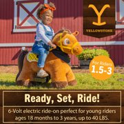 Yellowstone 6V Unisex Kids Ride-On Pony by Dynacraft for Ages 3+ Years, 1 Count