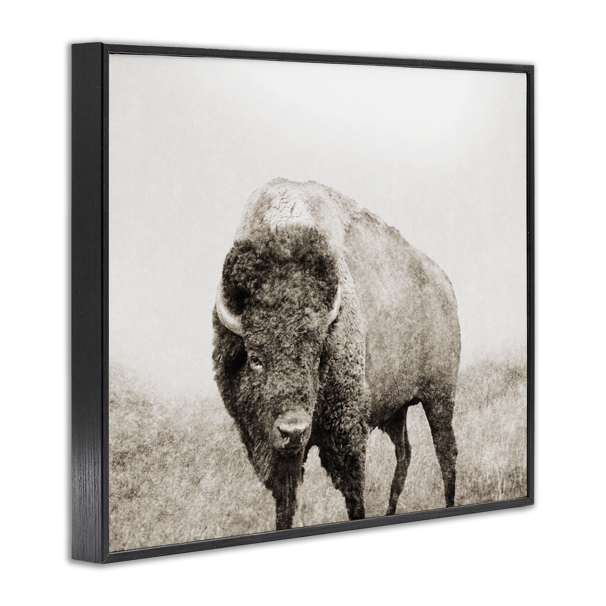 Stupell Industries Bison Distressed Portrait Animals & Insects Photography Black Framed Art Print Wall Art, 14 x 11