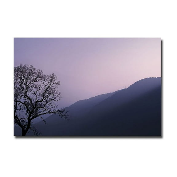 Philippe Sainte Laudy 'Purple Hours' Canvas Art