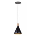 thumbnail image 1 of Luminario Colgante Individual De Campana Maxxi Negro, 1 of 2