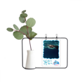thumbnail image 1 of Ocean Ray Skate Science Nature Picture Transparent Glass Hanging Vases Decoration Bottle, 1 of 2
