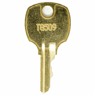 Replacement Key for Honeywell TG511
