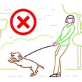 thumbnail image 3 of Dog Control Leash, Super Soft Durable Strong Dog Training Leash Rope for Walking Training Pets, 3 of 8