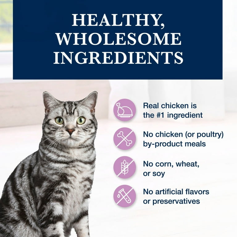 Blue Natural Veterinary Diet W+U Weight Management + Urinary Care Dry Cat Food 6.5 lbs