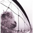 thumbnail image 1 of Pearl Jam - Vs (Vinyl), 1 of 3