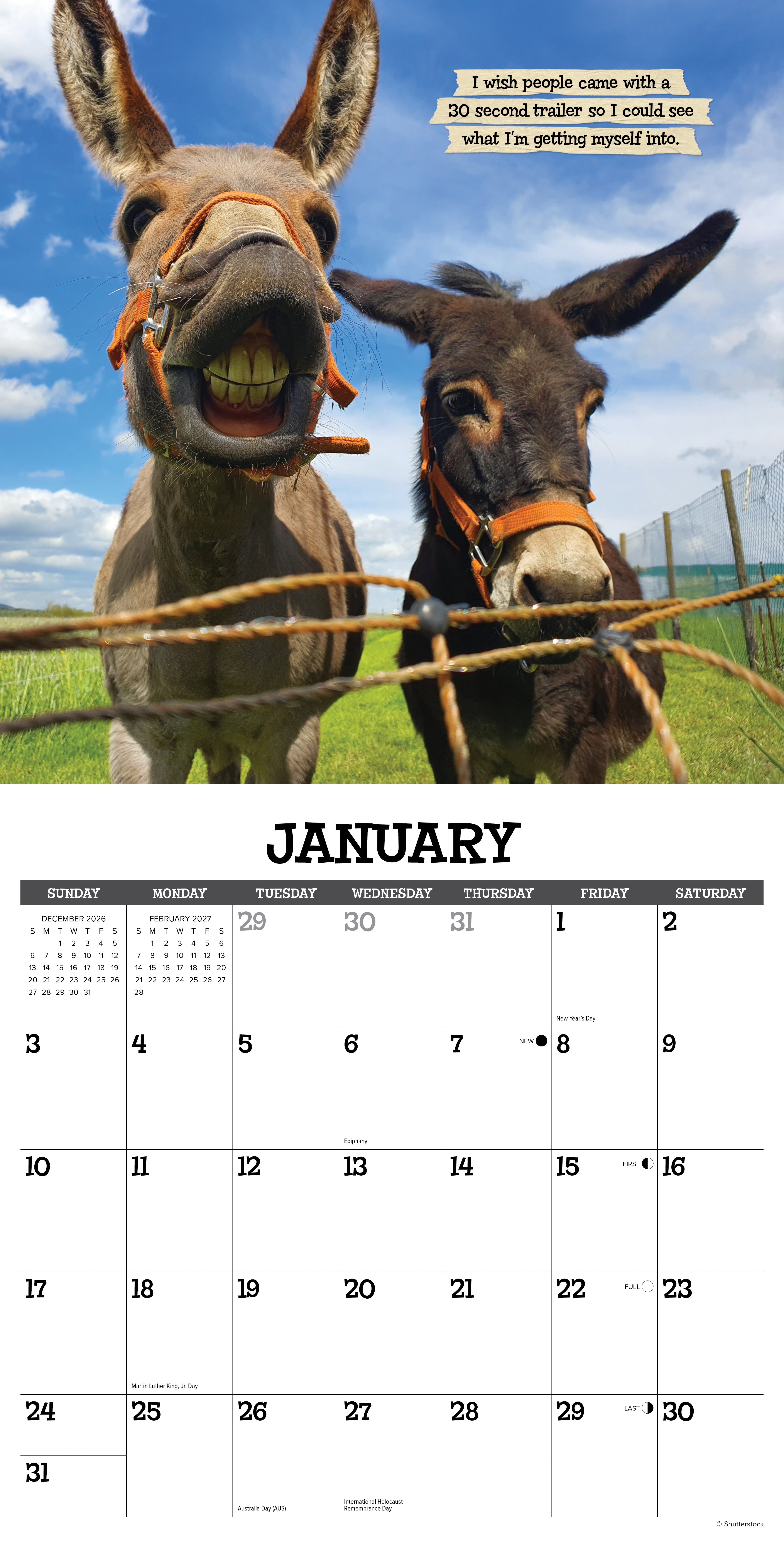 Willow Creek Press, Sassy Jackassy 2027 Wall Calendar