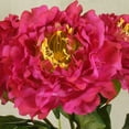 thumbnail image 3 of Bundle Of 3, 15 Inch Artificial Peony w/Realistic Look For Weddings, Home Décor & Floral Arrangements - Light Pink, 3 of 5