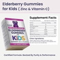thumbnail image 3 of Elderberry Gummies for Kids - 3 in 1 Elderberry Vitamin C and Zinc - Vegan, Organic Immune Support Supplement for Kids - No Added Sugar -Dentist Friendly - Non GMO - Allergen free 60 Chewable Gummies, 3 of 8