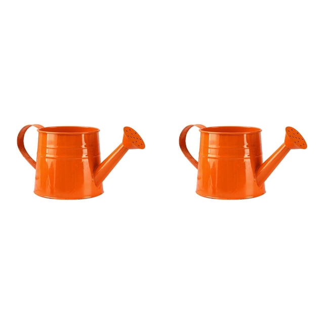 (Lot de 2) Kcodviy Arrosoir de Jardin en Métal Galvanisé Design Outil d'Irrigation Petit Pot d'Horticulture pour Balcon Solution Extérieure