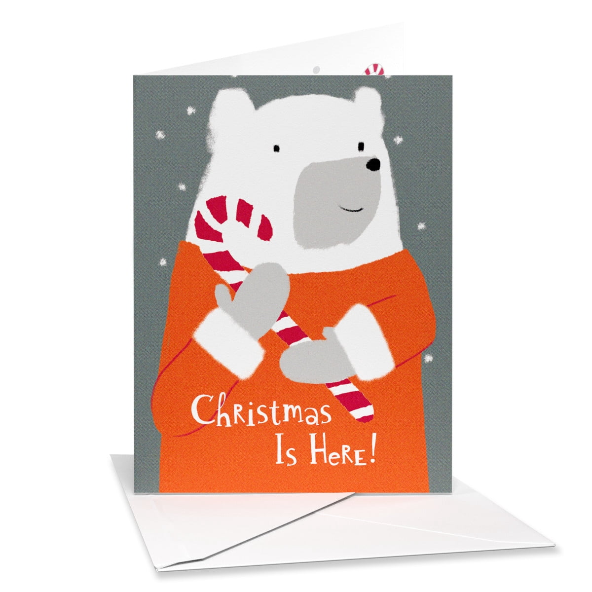American Greetings Christmas Card Bundle for Anyone, Celebrate & Enjoy (10-Count)