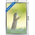 thumbnail image 3 of The Comedy Wildlife Photography Awards: Perdita Petzl - Conducting Wall Poster, 22.375" x 34" Framed, 3 of 5