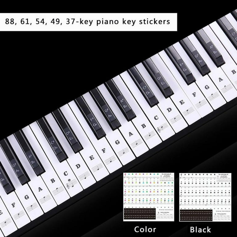 Medsuo Universal Self-Adhesive Piano Keyboard Stickers Set for  37/49/54/61/76/88 White and Black Keys Music Electronic Identification Note  Transparent