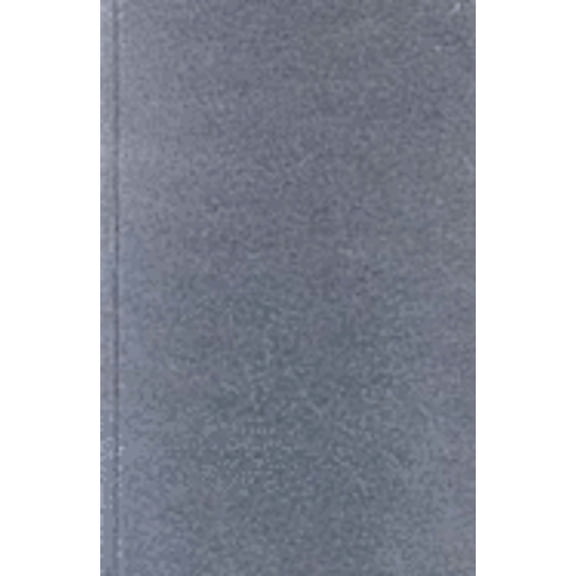 Pre-Owned Themes and Issues in Judaism (Hardcover) by Seth Daniel Kunin