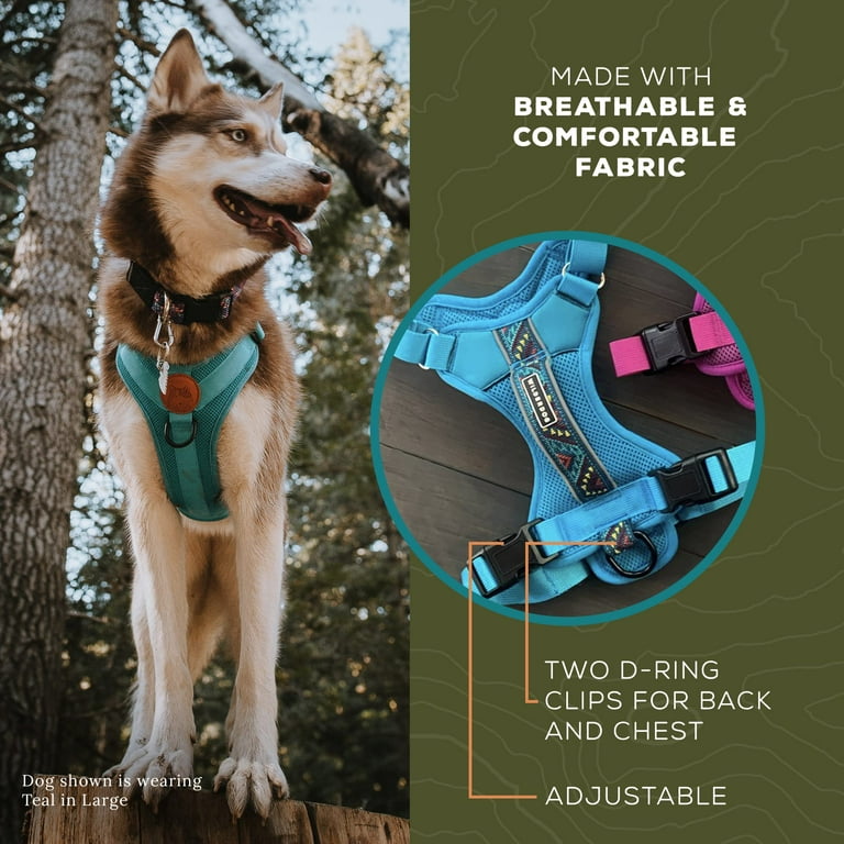 Dog harness with two handles cheap
