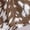 Khaki, variant on Women's Spring and Summer Printed Button Up Belted Midi Dress Short Sleeve Collar Shirt Dresses
