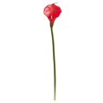 thumbnail image 1 of Nearly Natural 2006-S12-RD 28 Po Fleur Artificielle de Lys&44; Rouge - Lot de 12, 1 of 1