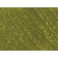 thumbnail image 2 of (Vert Marais) - Jack Richeson Shiva Oil Paintstik, Vert Marais, 2 of 3