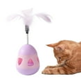 thumbnail image 6 of KYAIGUO Interactive Cat Toys, Funny Cat Tumbler Toy with Feather for Small & Large Cats Engaging Play, 6 of 7