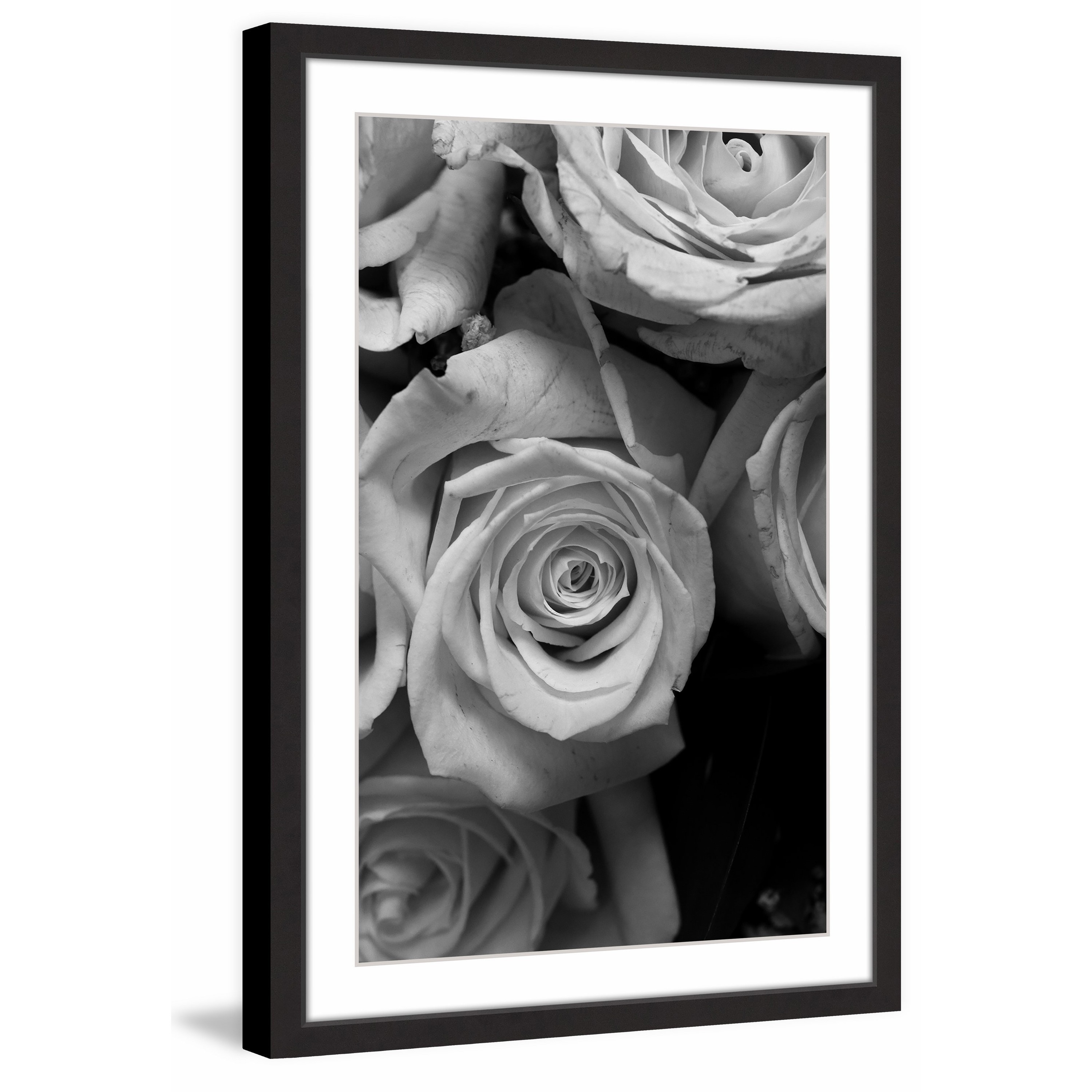 The Eyes of the Rose II Framed Painting Print