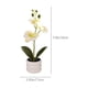 thumbnail image 3 of Artificial Potted Phalaenopsis Orchid with Bendable Stems for Home Office Desk Wedding Decor 1 Count, 3 of 9