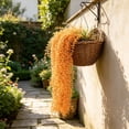 thumbnail image 5 of Artificial Trailing Plant Decor Orange, Cascading Blooms, 5-Pack, 37.4 Inches, Indoor Outdoor Hanging Decor, 5 of 7