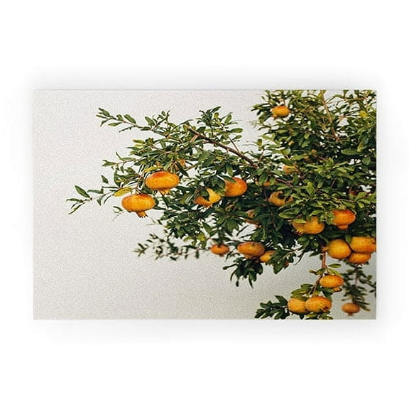 Society6 Romana Lilic / LA76 Photography Pomegranates 20" x 30" Welcome Mat