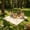 Beige, variant on Extra Large Waterproof Outdoor Picnic Mat, Absorbent Antifatigue Floor Mat, Aesthetic Quick Dry Outdoor Rugs for Beach Grass and 4‑8 People (Large Grid)