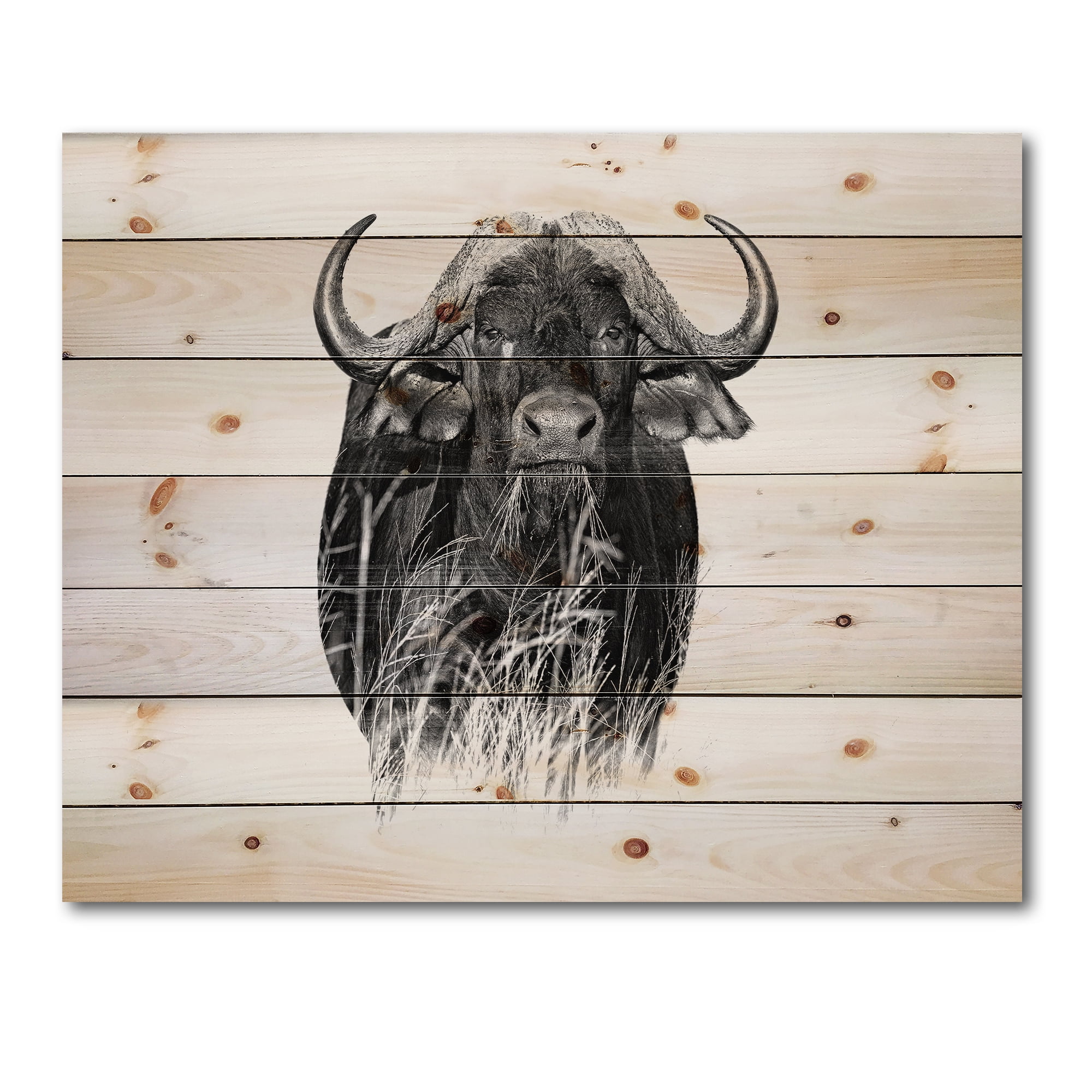 Designart 'Black and White Portrait Of Buffalo IV' Farmhouse Print on Natural Pine Wood