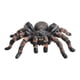 thumbnail image 2 of Figuras de realistas Accesorios de juguetes preescolares Juegos de juegos Figura de aprendizaje de plástico Figura de animal de simulación realista para suministros de fiesta Pequeña perfke Figuras de Araña, 2 of 9