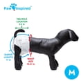 thumbnail image 5 of Pañales desechables para perros inspirados en las patas, ultra protección, 32 unidades, 5 of 5
