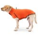 thumbnail image 1 of Ropa para perros en otoño e invierno Jersey de felpa de cuello alto MFZFUKR BST2000997-6, 1 of 6