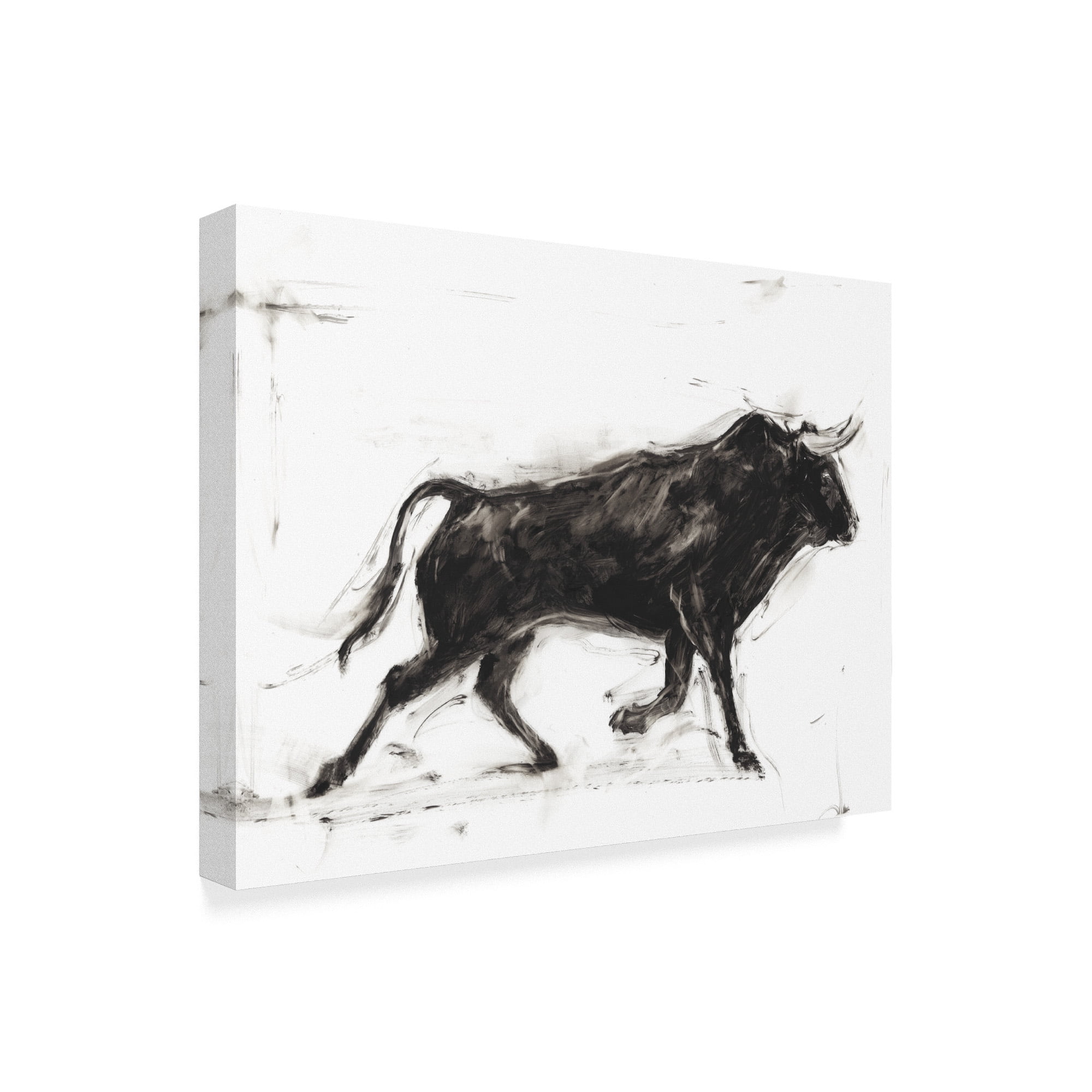 Trademark Fine Art 'Toro II' Canvas Art by Ethan Harper