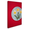 thumbnail image 2 of Trademark Fine Art 'Flower Eggs' Canvas Art by Sarah Saratonina, 2 of 3