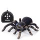 thumbnail image 3 of Wireless Remote Control Spider, Multi-function High Simulation Remote Control Two-way Four-way Spider Infrared Remote Control Tarantula Black Widow To, 3 of 5