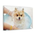 thumbnail image 5 of Cute Pomeranian Bath Canvas Wall Art for Home Decor Ready-to-Hang, 5 of 18