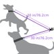 thumbnail image 2 of Walk 2 Dogs at Once with the JOYTALE Pet Leash - No Tangle, Reflective & Durable!, 2 of 5