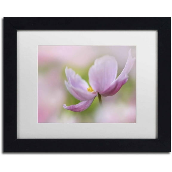 Trademark Fine Art 'Pink Anemone' Canvas Art by Cora Niele, White Matte, Black Frame