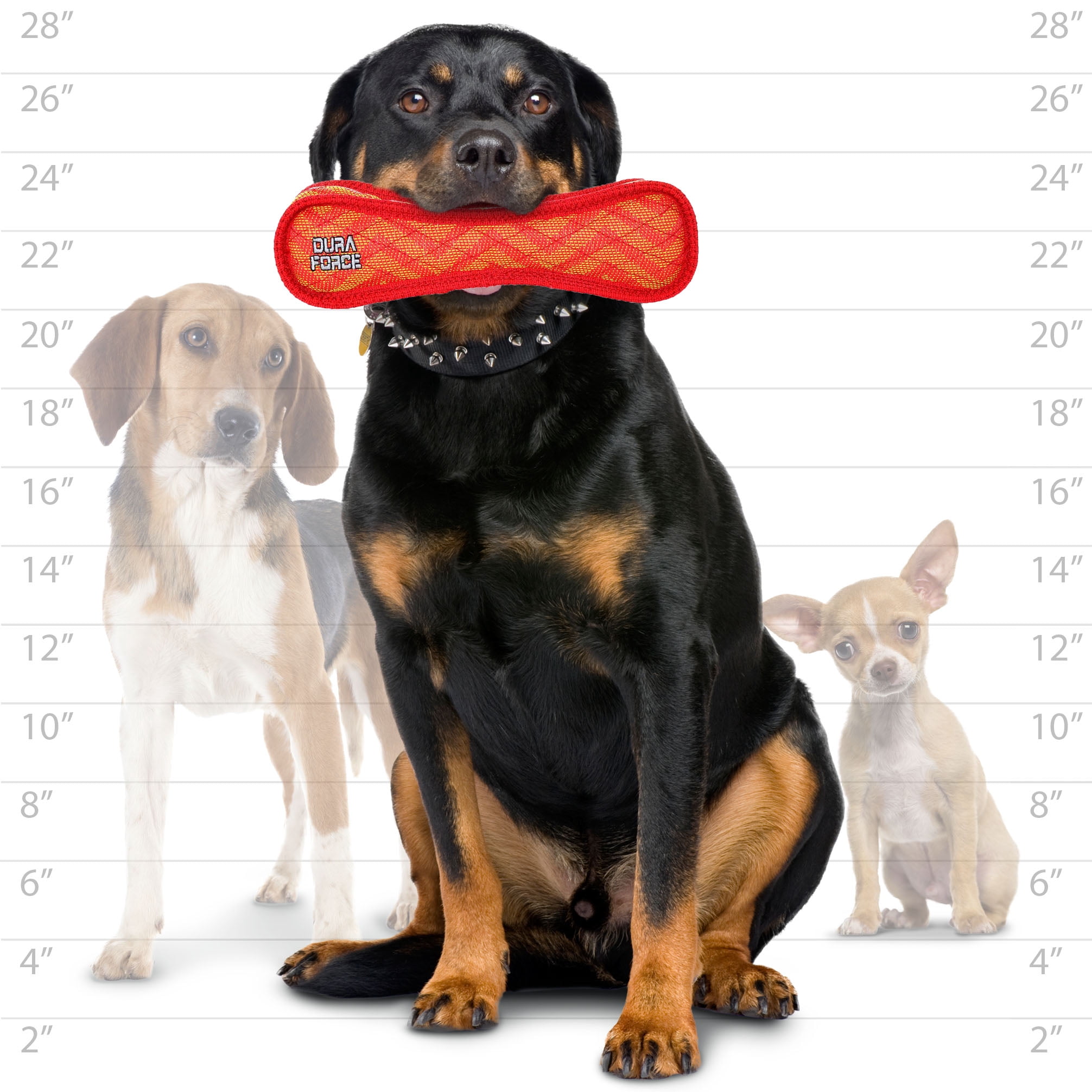 DuraForce Bone ZigZag Red, 2-Pack, Durable Woven Mesh Fiber Squeaky Dog Toy