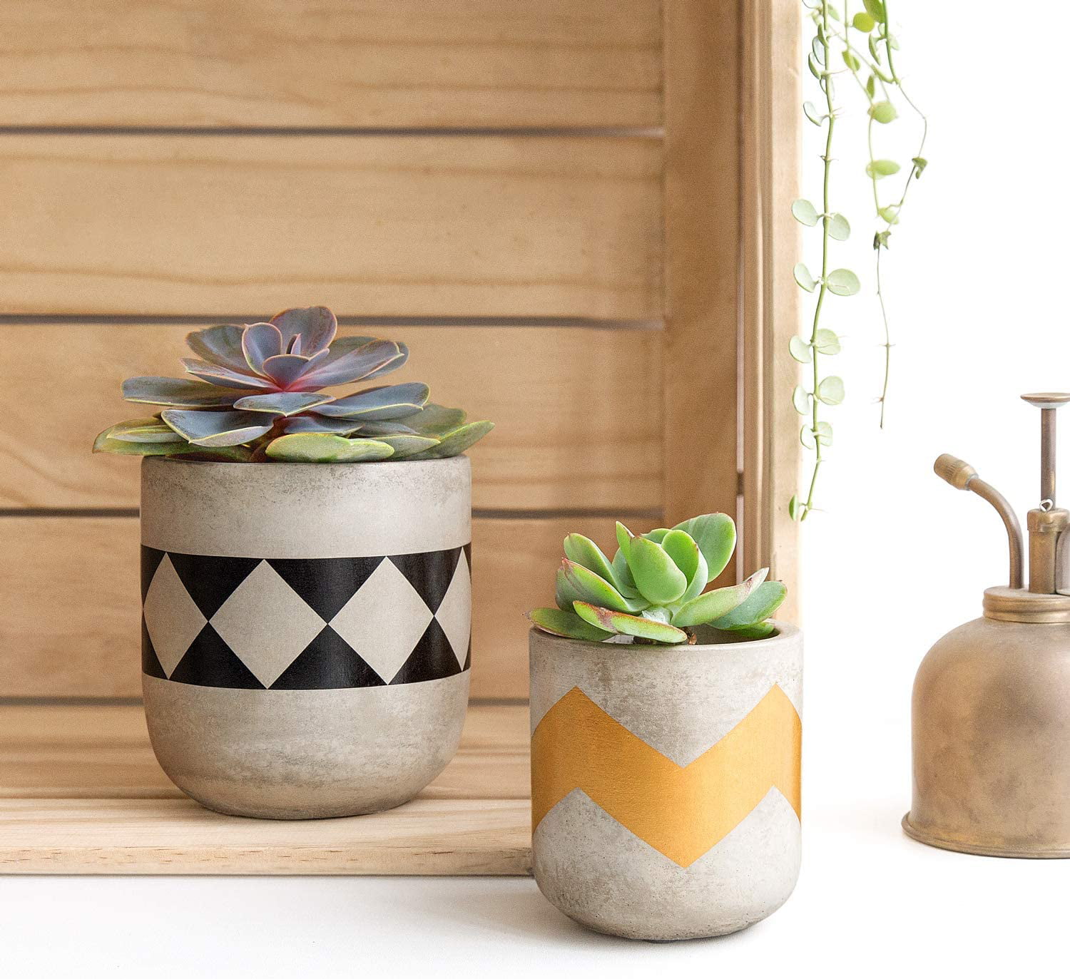 PASENITY Hand Painted Concrete Plant Pots Plants NOT Included Office & Home Gift Idea for Women Best Planters for Cactus Herbs Set of 3 Small Modern Cement Succulent Pots with Drainage 3.5 Inch 